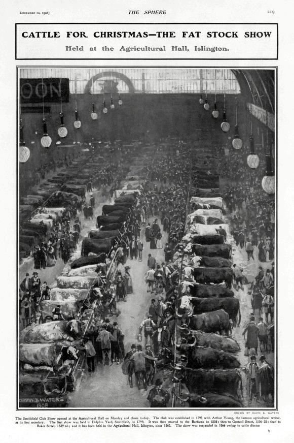 Image 2 Royal Smithfield Show 1908